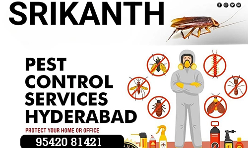 General Pest Control