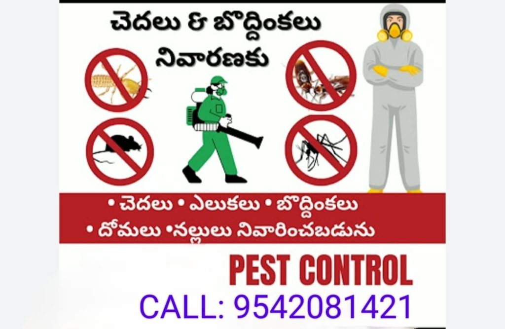 Srikanth Pest Control service in Hyderabad